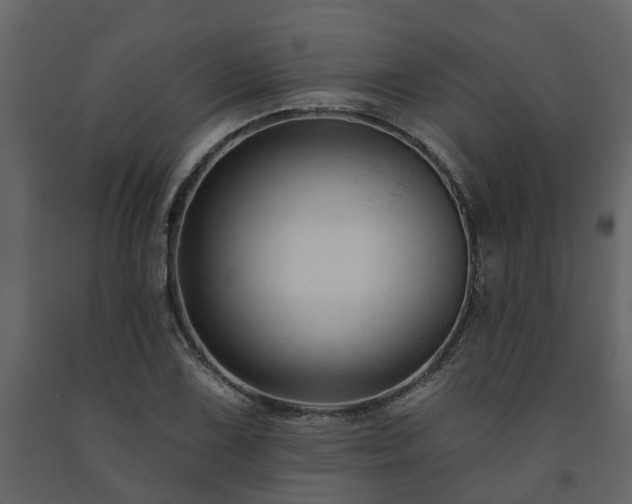 X0000091691075200708231435