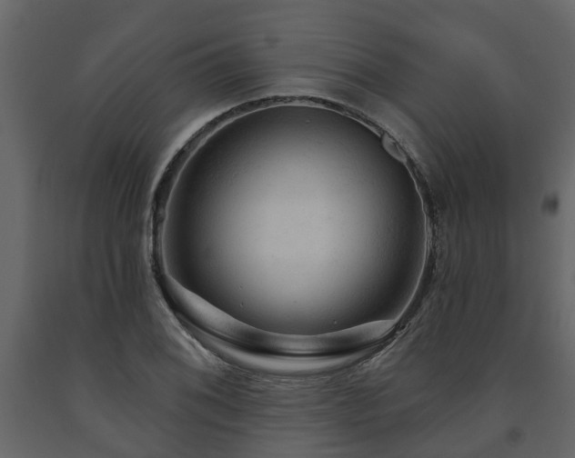X0000091691076200708231435