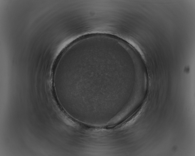 X0000091691077200708231435