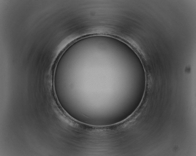X0000091691078200708231435