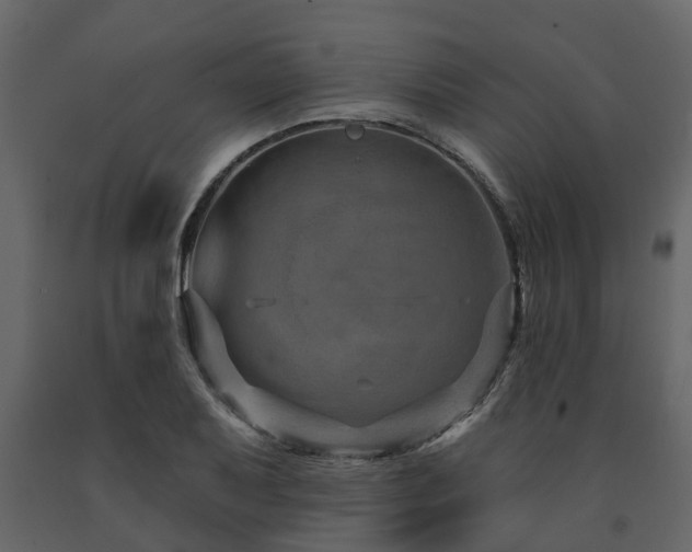 X0000091691079200708231435
