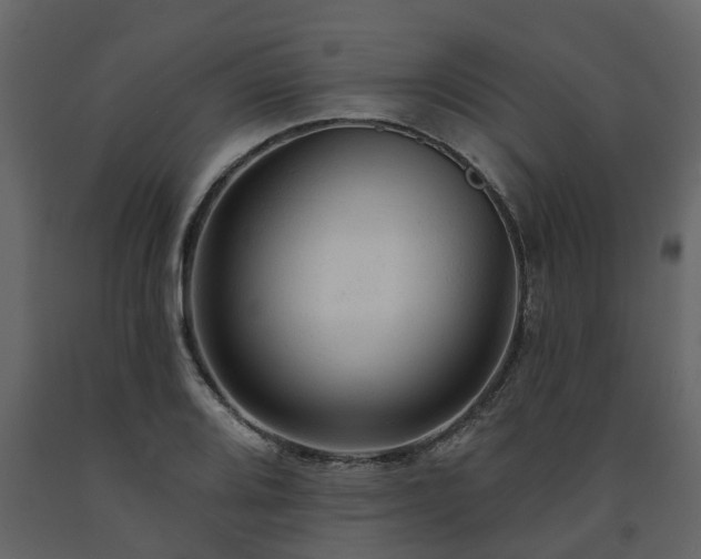 X0000091691080200708231435