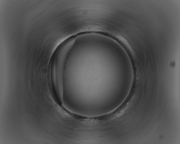 X0000091691081200708231435