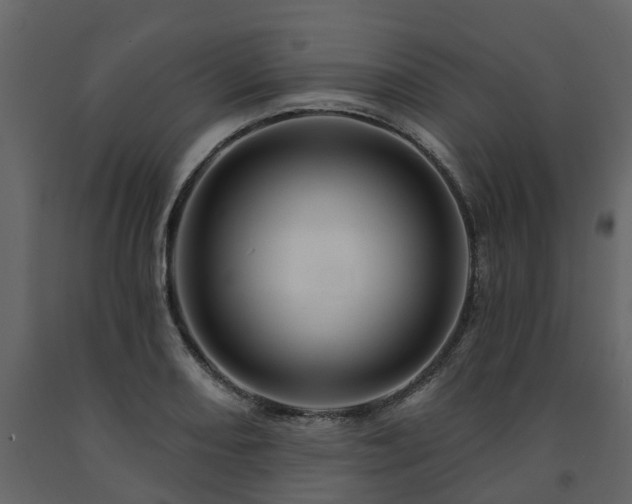 X0000091691082200708231435