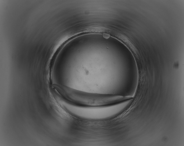 X0000091691083200708231435