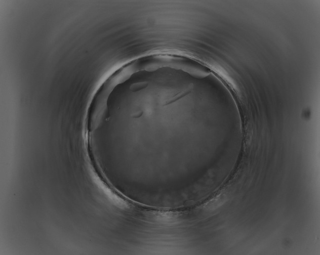 X0000091691084200708231435
