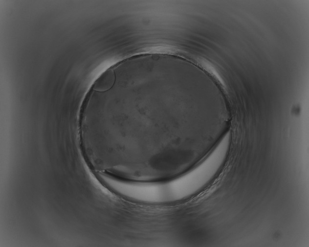 X0000091691087200708231435