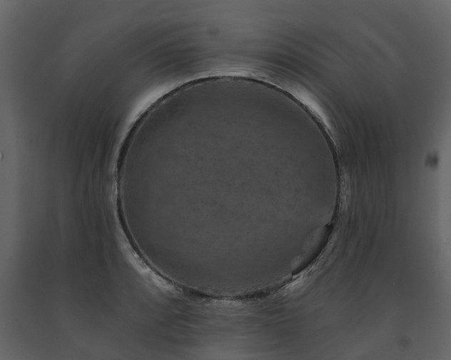 X0000091691088200708231435