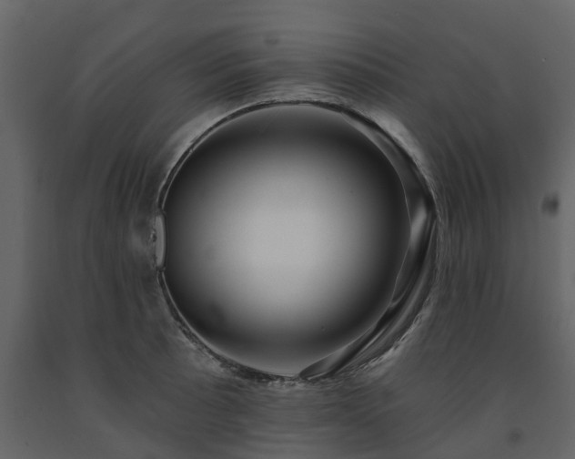 X0000091691089200708231435