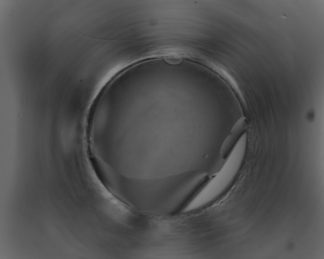 X0000091691091200708231435