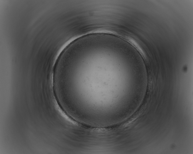 X0000091691092200708231435