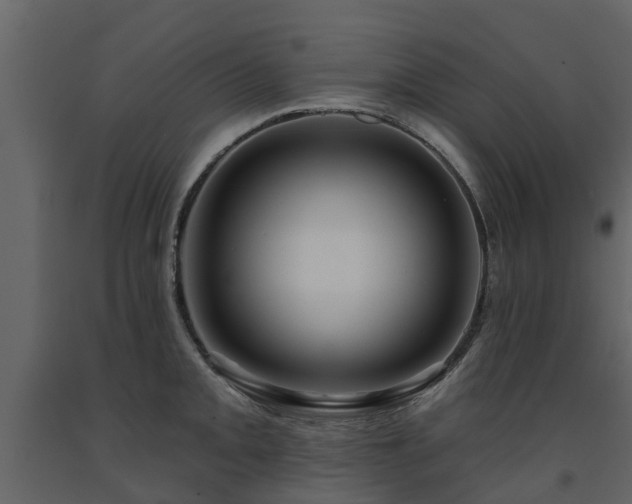 X0000091691093200708231434