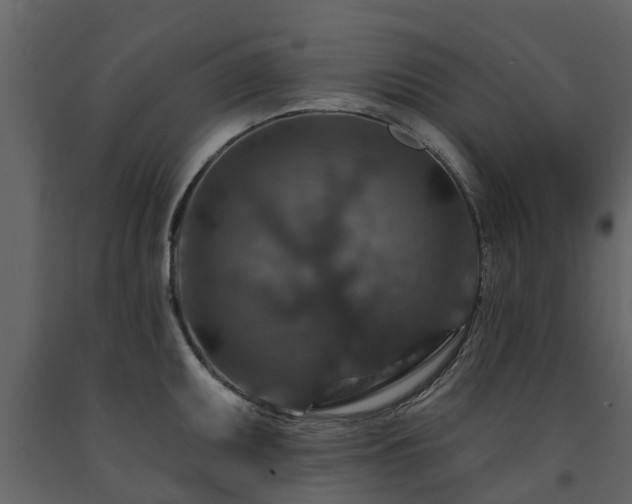 X0000091691095200708231434