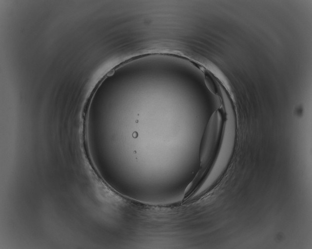 X0000091691096200708231434