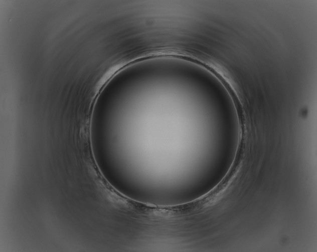 X0000091691097200708231434