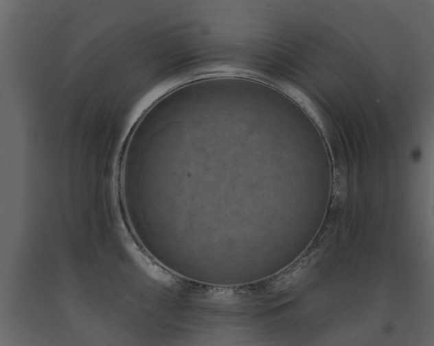 X0000091691098200708231434
