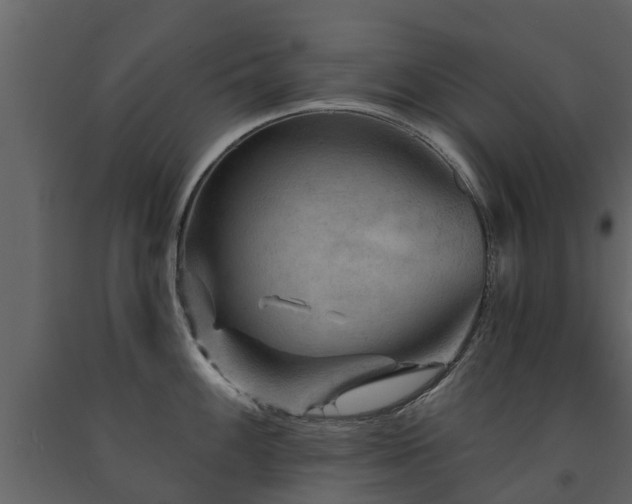 X0000091691100200708231434