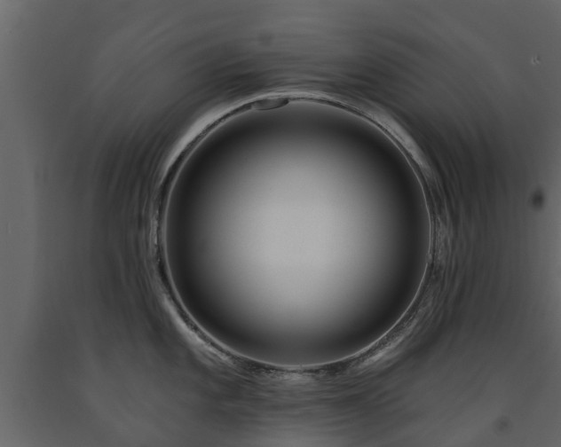 X0000091691101200708231434