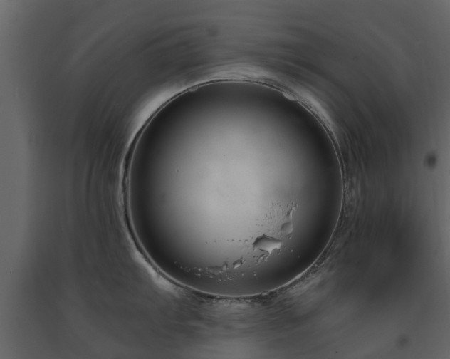 X0000091691103200708231434