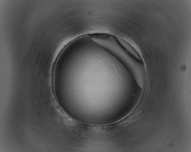 X0000091691104200708231434