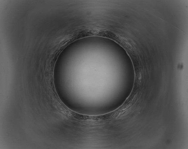 X0000091691105200708231434