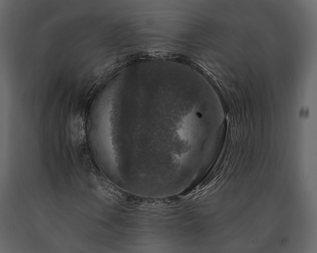 X0000091691106200708231434