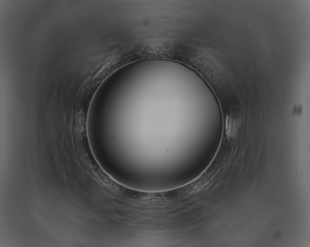 X0000091691107200708231434