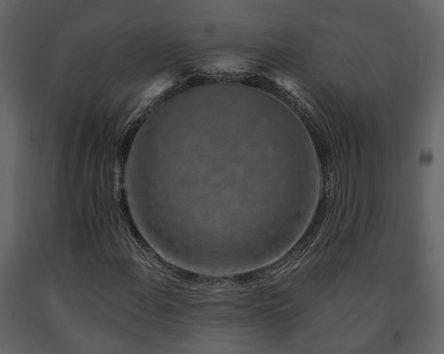 X0000091691108200708231434