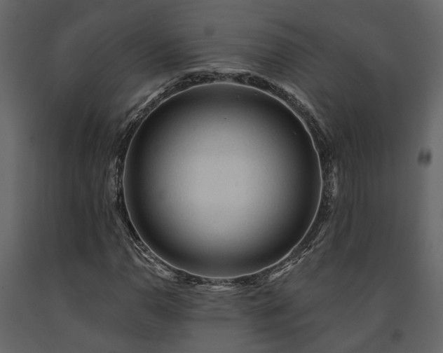 X0000091691110200708231434