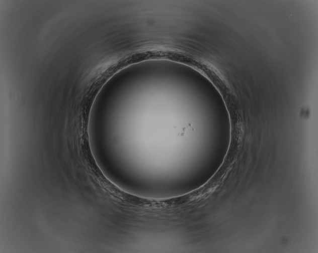 X0000091691111200708231434
