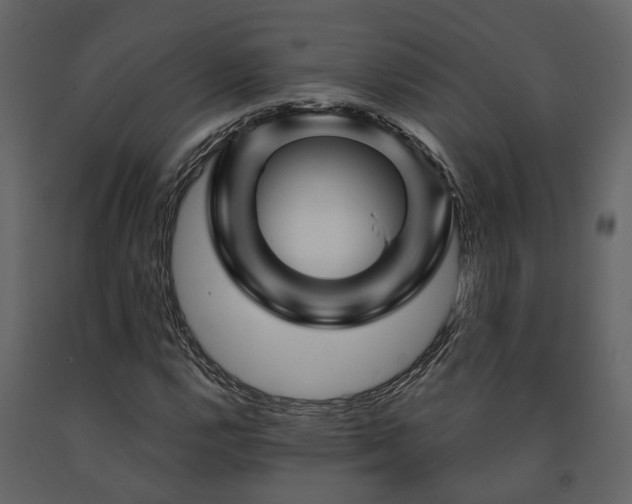 X0000091691112200708231434