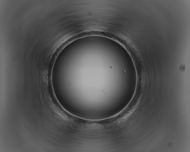 X0000091691113200708231434