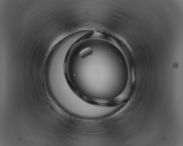 X0000091691114200708231434