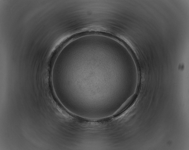 X0000091691115200708231434