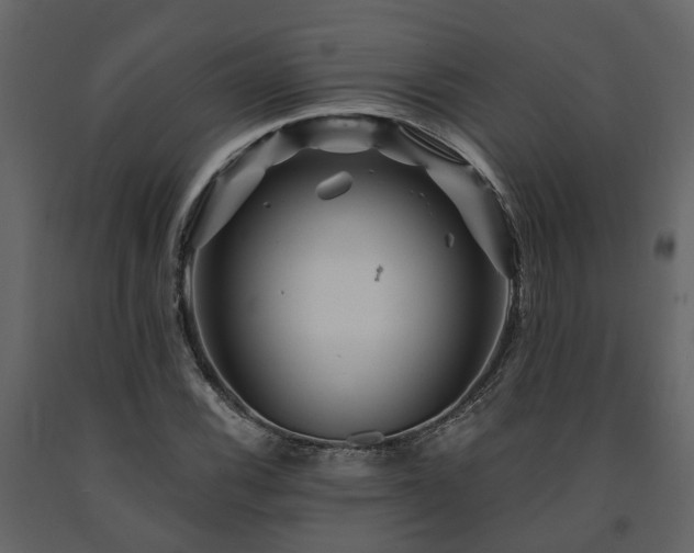 X0000091691116200708231434