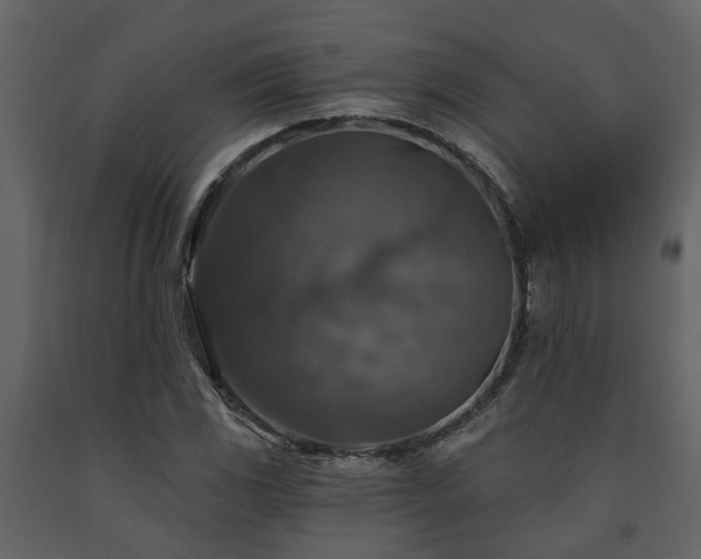 X0000091691117200708231434