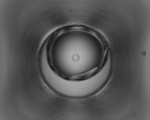 X0000091691118200708231434