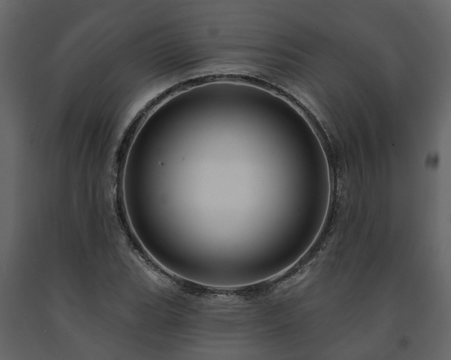 X0000091691119200708231434