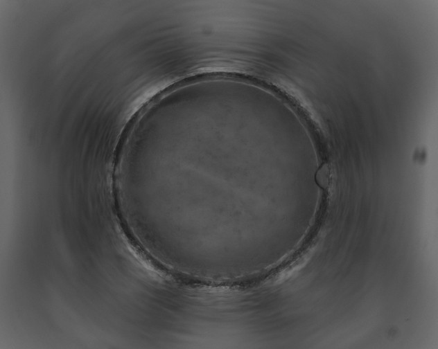 X0000091691121200708231434