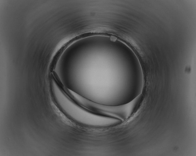 X0000091691122200708231434