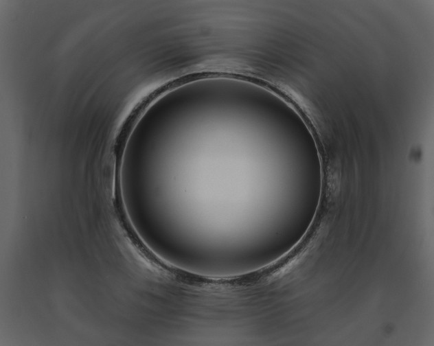 X0000091691123200708231434