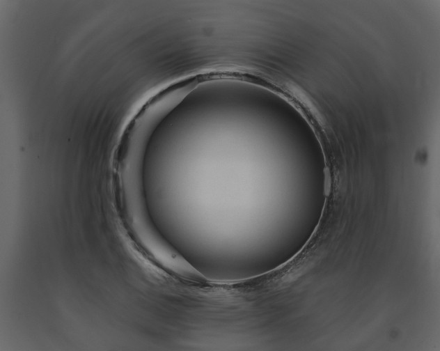 X0000091691124200708231434