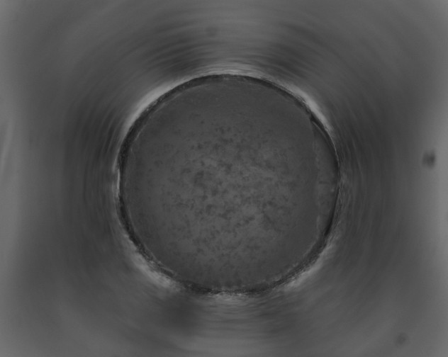 X0000091691125200708231434