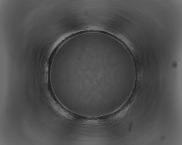X0000091691126200708231434