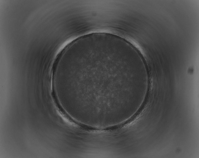 X0000091691127200708231434