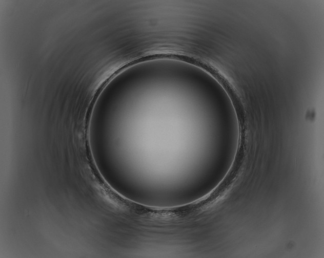 X0000091691129200708231434