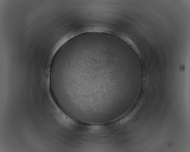 X0000091691130200708231434