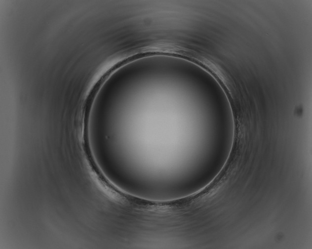 X0000091691131200708231434