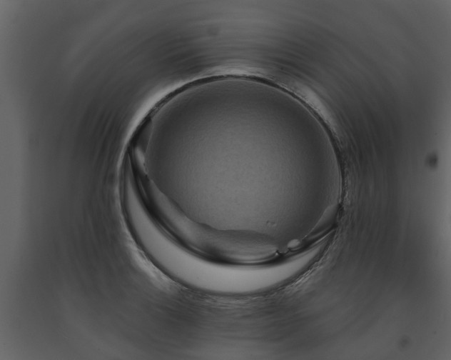 X0000091691132200708231434