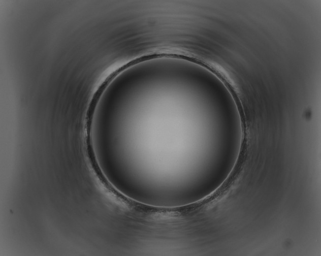 X0000091691133200708231434